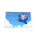 Provide with 17.0 inch B170PW03 V1 1440*900 LCD Screen for sale