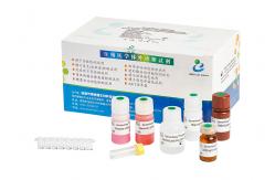 China 96T/Kit Elastase Assay Kit For Determination Male Infertility Diagnosis supplier