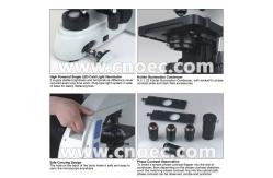 China Fluorescence / Polarizing Digital Optical Microscope , CE A31.0907-B supplier