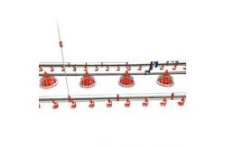 China Galvanized Chicken Raising Equipment Poultry Drinking Line Raised Chicken Waterer supplier
