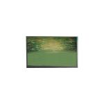 Original U063SWR2-0 6.3 inch LCD Display Monitor for sale