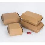Takeaway Lunch Box Custom for Recyclable Paper Cardboard Hamburger Packaging