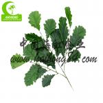 H180cm lifelike Artificial Potted Floor Plants With Nature Trunk