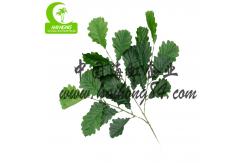 China H180cm lifelike Artificial Potted Floor Plants With Nature Trunk supplier