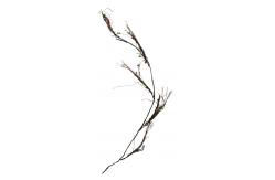 China HAIHONG 120cm Artificial Weeping Willow Artificial Plant Accessories supplier