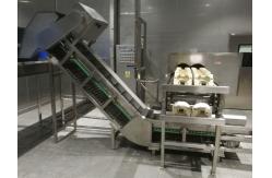China 6000LPH Automatic Control Fruit Processing Equipment For Coconut Milk Drink supplier