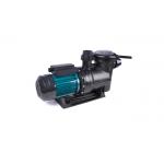 1.5KW 20m Spa Water Pump Single / Three Phase Low Noise Operation for sale