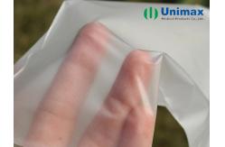 China Eco Friendly Translucent Disposable TPE Gloves supplier