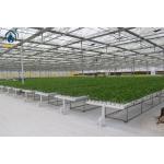 Commercial Multi Span Large Scale Greenhouse With Automatic Watering System