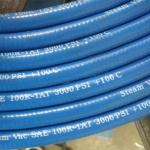 3000 PSI High Pressure Hose Smooth Blue For Carpet Cleaners for sale