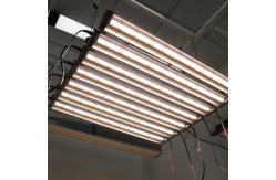 China RedFarm 45w 2.5ft LED Grow Strip Light Samsung T5 T8 Replacement supplier