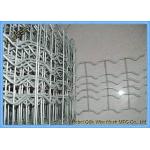 Reinforced Mesh - Pipe - Line Welded Wire Mesh Low Carbon Steel Wire for sale