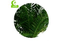 China Luxury 400cm Artificial Tropical Tree For Garden Landscaping supplier