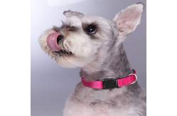 China Breathable Nylon Reflective Dog Collar Multicolor Adjustable supplier