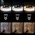 DC12V 24V LED Ribbon Tape Light Strip 480leds 8mm IP20 Dotless Flexible