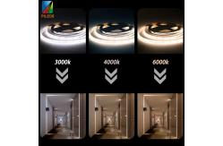 China DC12V 24V LED Ribbon Tape Light Strip 480leds 8mm IP20 Dotless Flexible supplier