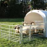 Hot Dipped Galvanized Sheep/cattle/goat/horse Yard Panel Livestock Panel Iron Farm Fence Heat Treated Pressure Treated W for sale