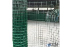 China 1/2inch By 1/2 Inch Pvc Coated Welded Wire Mesh Anti Aging supplier