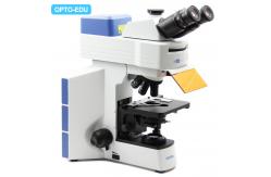China APO Objective Infinity Trinocular Fluorescence Microscope with Disc LED  A16.0908-L supplier