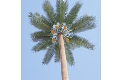 China 30 Meters Gsm Palm Tree Camouflage Cell Tower supplier