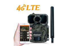 China Wireless Trail Camera for Hunting and Wildlife Observation with Infrared Flash Technology supplier