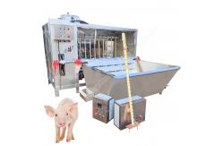 China Machine To Remove Pig Hair Pig Hair Shaving Machine Pig Scalding Machine supplier