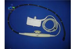 China Siemens Acuson TE-V5M Pinless TEE Ultrasound Probe/Acuson Sequoia supplier
