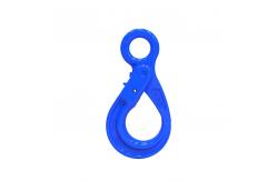 China SLR1005-G100 EYE SELFLOCK HOOK supplier