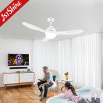 48 Inch Modern Indoor Ceiling Fan With 3 CLR Brightness LED Light