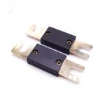 Automotive Automobile ANL Fuse