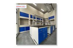 China Fast Installation Chemistry Lab Furniture with Customization Options supplier