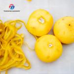 220V Persimmon Apple Potato Peeling Machine Automatic Vegetable Processing Machine