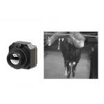 Uncooled Thermal Camera Module LWIR 640x512 17μM for Security