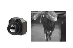 China Uncooled Thermal Camera Module LWIR 640x512 17μM for Security supplier