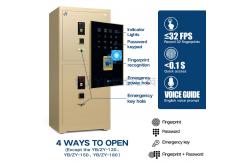 China Germany 3D Laser Cutting Technology Commercial Safe Box With Removable Shelves H1580mm supplier