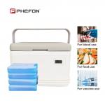 360*240*250mm Cooler Box with Ice Packs 8L Capacity for Outdoor Adventures for sale