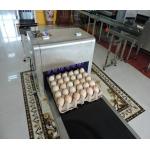 600 Dpi Date Code Printing Machine , Touch Screen Egg Spray Machine