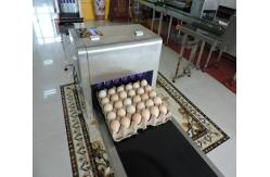 China 600 Dpi Date Code Printing Machine , Touch Screen Egg Spray Machine supplier
