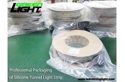 China IP68 6500K SMD5050 Waterproof Led Strip Lights 12V RGB ATEX supplier