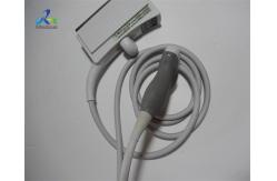 China Siemens S2000 6C1HD Ultrasound Transducer Probe Health Surgical Machine supplier