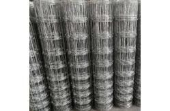 China Galvanized Page 2.3m Woven Wire Mesh For Hinge Joint Field Fence supplier