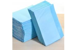 China Disposable  Super Absorbent Multi Layered Pet Pee Pad supplier