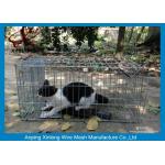 Galvanized / PVC Coated Welded Wire Mesh Fence For Animal Cages Various Length for sale