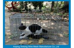 China Galvanized / PVC Coated Welded Wire Mesh Fence For Animal Cages Various Length supplier