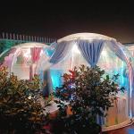 Large Luxury Geodesic Clear Transparent Outdoor Domes Igloo Tents for sale
