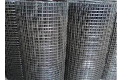 China 2mm Wire Diameter 10x50mm Hot Dipped Galvanized Welded Wire Mesh Rolls supplier