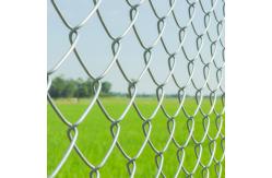 China Farm 4.0mm Wire Diameter Chain Link Fencing Galvanized 70x70mm supplier