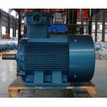 Variable Speed Neodymium Magnet Motor No Gear Box Natural Cooling IP68 IP65 for sale
