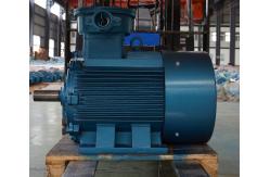 China Variable Speed Neodymium Magnet Motor No Gear Box Natural Cooling IP68 IP65 supplier
