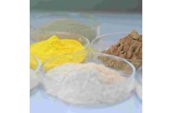 China Powder Detergent Enzyme Industrial Grade Classification Note Avoid Inhaling supplier